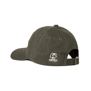The Youth Shall Inherit The Earth - Dad Hat - Olive